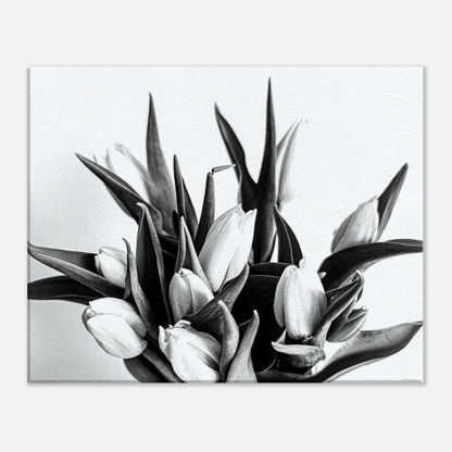 11732b2a-3dce-47df-8c43-02ac3e3ca4fa