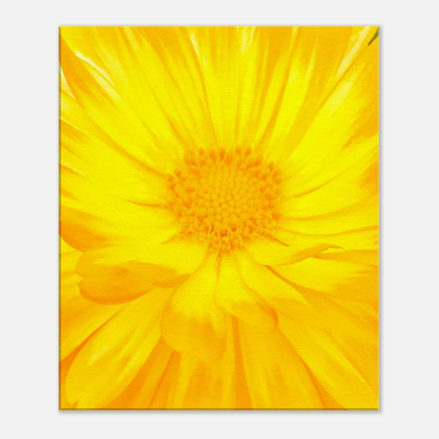 1182adb6-70b4-4af1-aabe-f50203cb0681