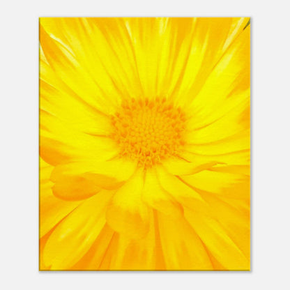 1182adb6-70b4-4af1-aabe-f50203cb0681