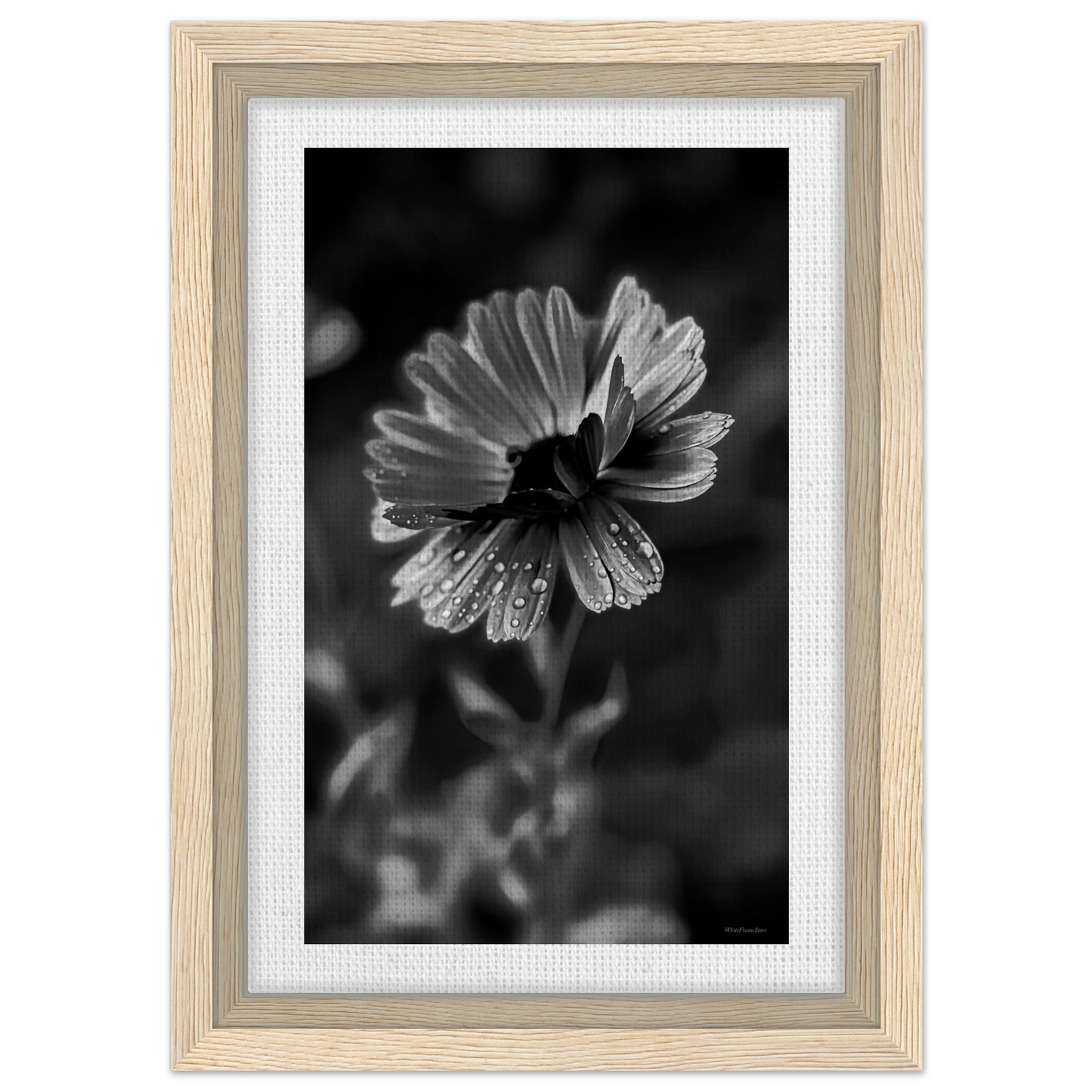 119709f2-c8c5-4f9c-a1d6-0fae796b7e86