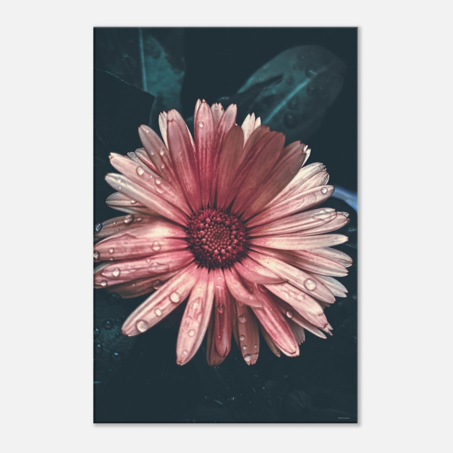 119fa521-2b51-4ec1-b660-8326c3378e4a