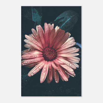 119fa521-2b51-4ec1-b660-8326c3378e4a