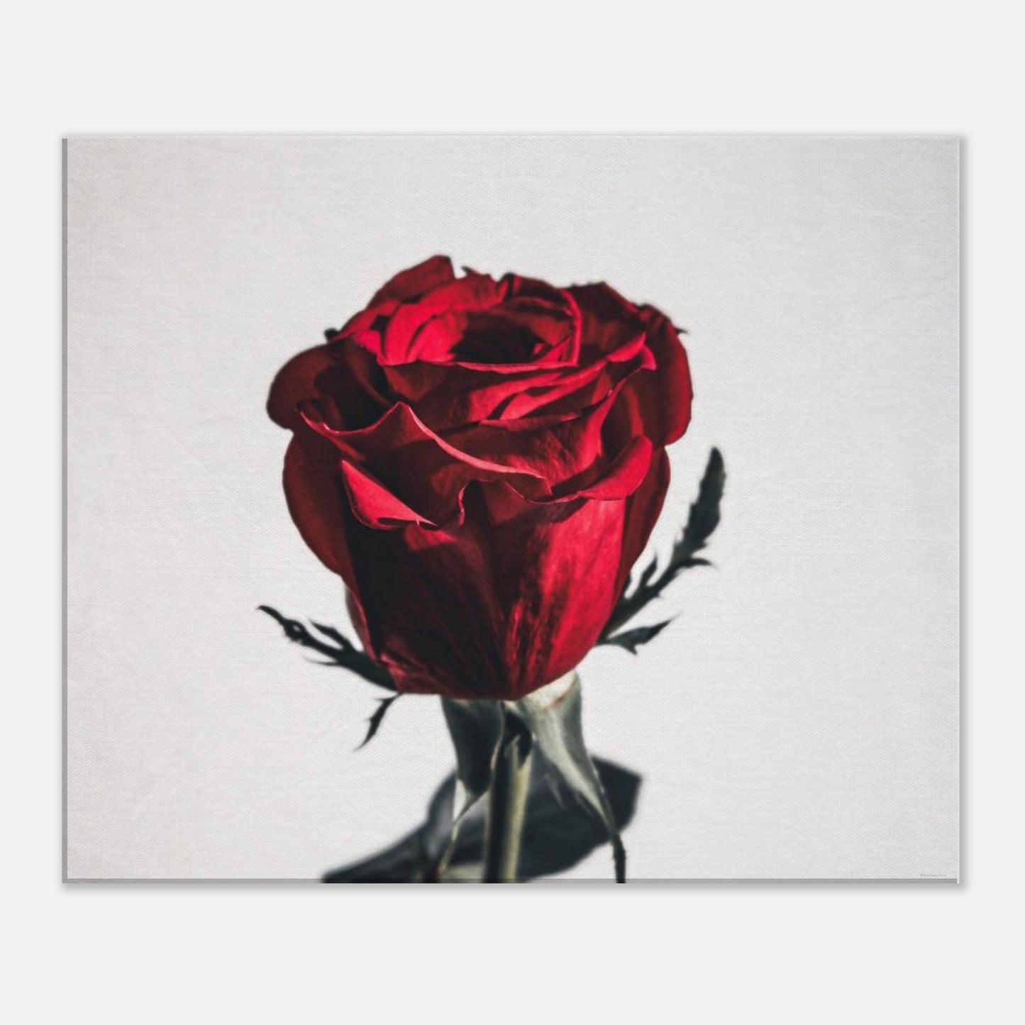 11a97bbd-06e1-4c1a-b963-656d75eac413