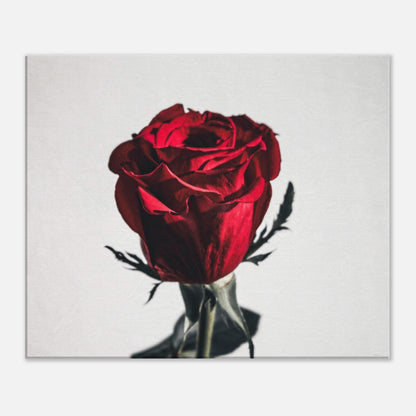 11a97bbd-06e1-4c1a-b963-656d75eac413