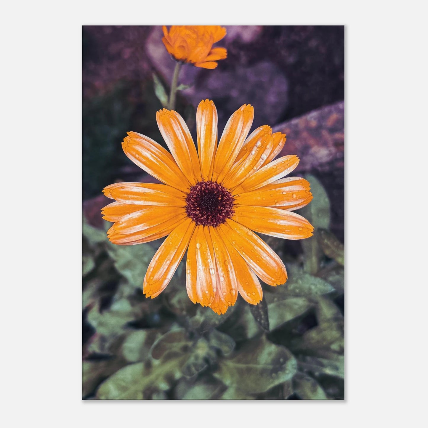 11ac3192-a460-4194-b4c7-515efaaf34e4