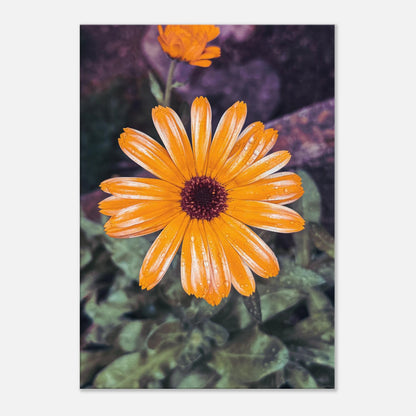 11ac3192-a460-4194-b4c7-515efaaf34e4