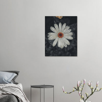 11b4396f-ec61-4a9a-9782-482ef6c01147