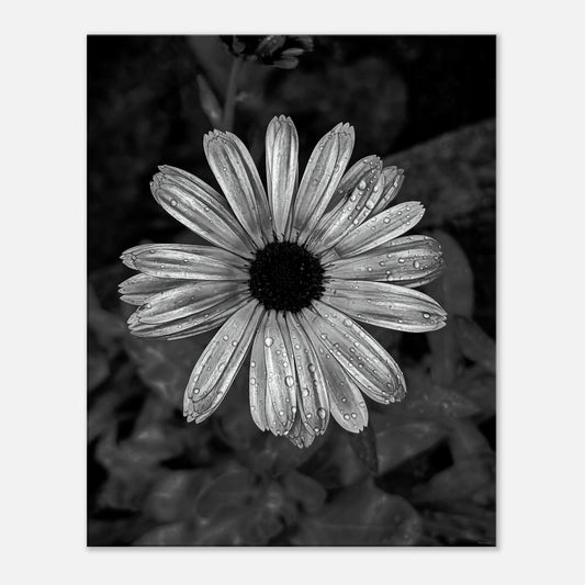 11b4e532-d3b8-4bc2-a2e3-c6e86e726ad0