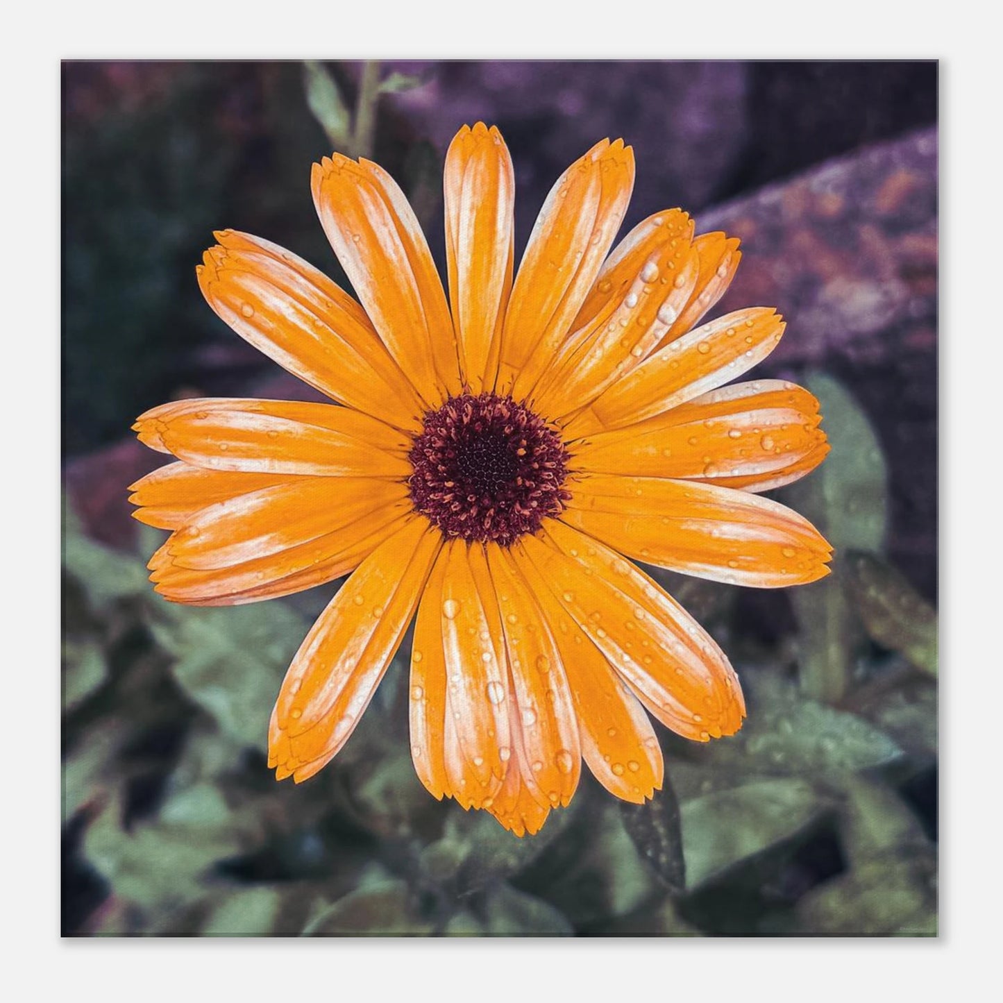 11bcd9f9-3fea-4829-a12a-6d317d536dbf