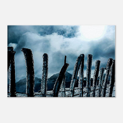 11d055da-aa99-44a7-999d-43a653af9d04