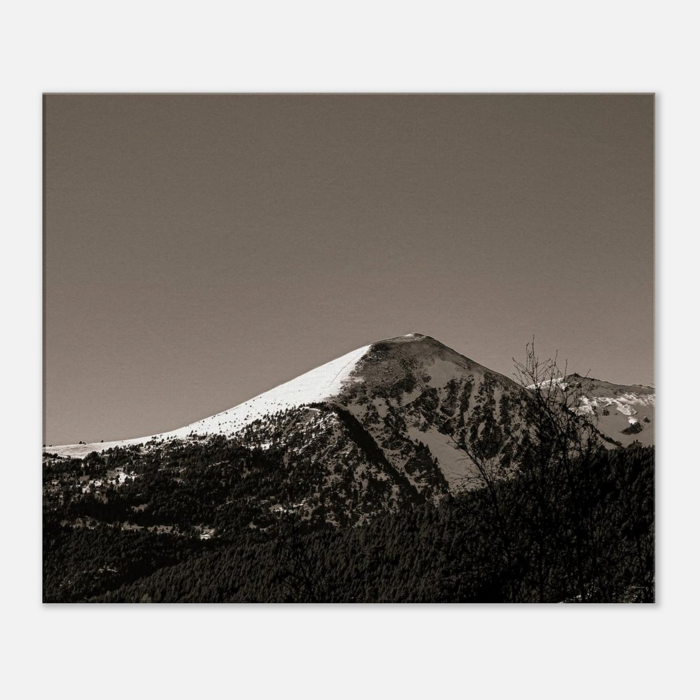 11e20c26-881e-4924-af31-052d7855449e