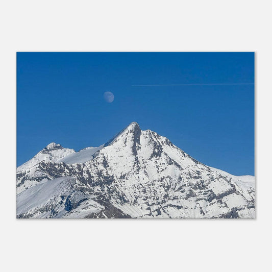 11ed5c89-94ea-44c4-93fd-331f4d7b6aee