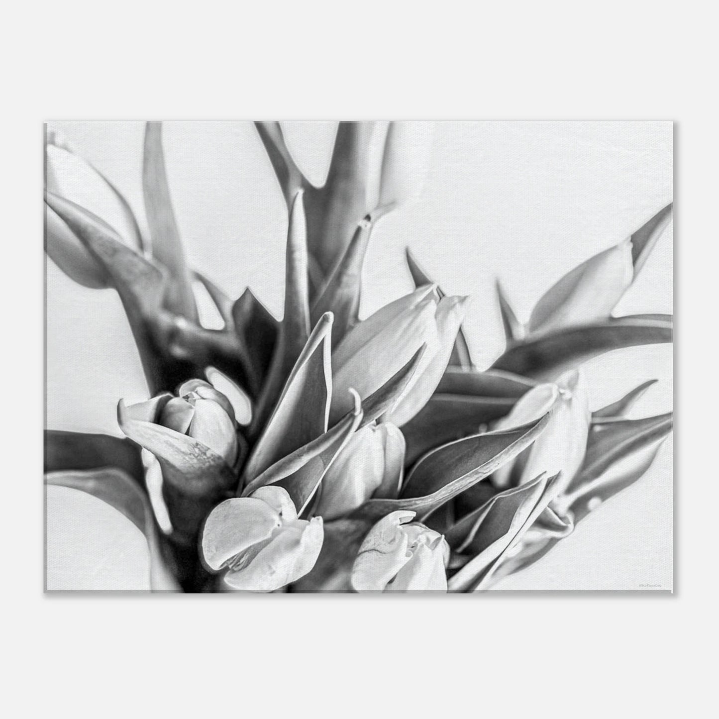 12237d0c-bcca-4107-bb6a-dd3aa2cddac7