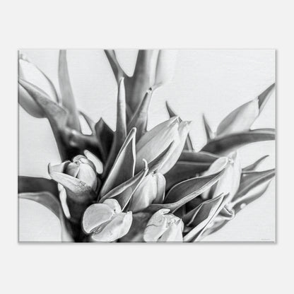 12237d0c-bcca-4107-bb6a-dd3aa2cddac7