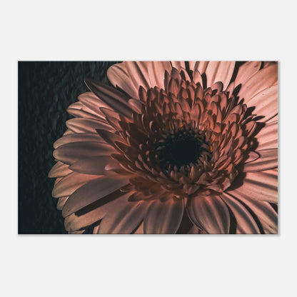 122c71c9-fe96-4dd8-b059-eeb6574325ab