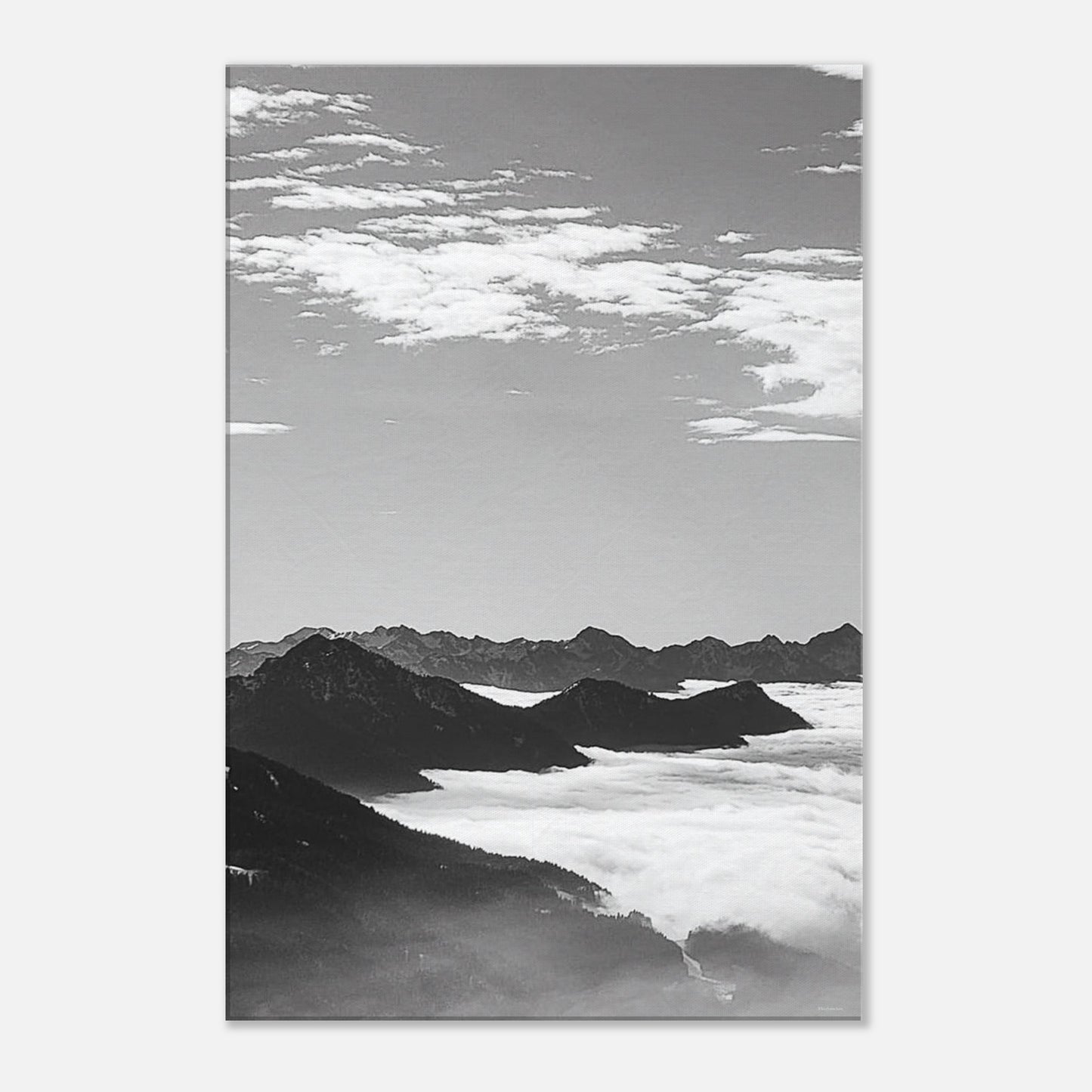 1253a06d-abd5-4a29-9a00-3e5ccb634fed