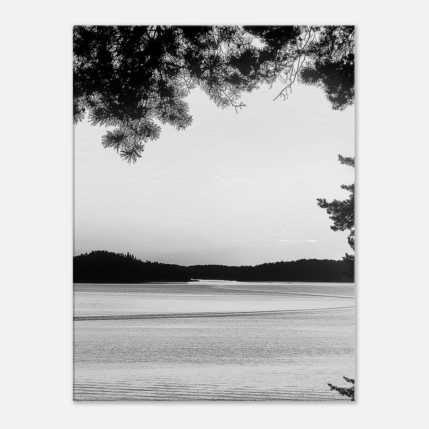 12704bfd-5b50-4e5b-8fd1-ed6e83fe736f