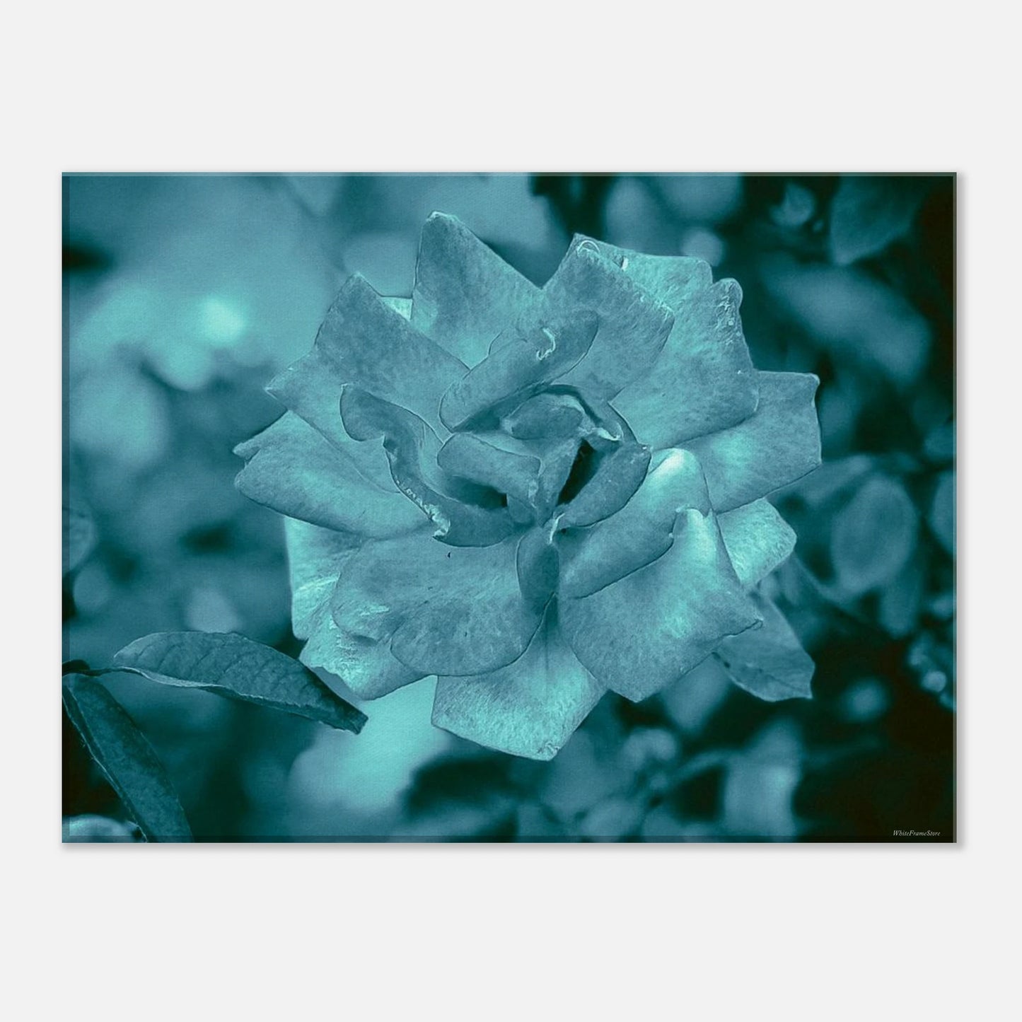 12a23608-06e7-4fd6-97d1-797865656e44