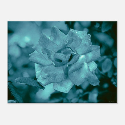 12a23608-06e7-4fd6-97d1-797865656e44