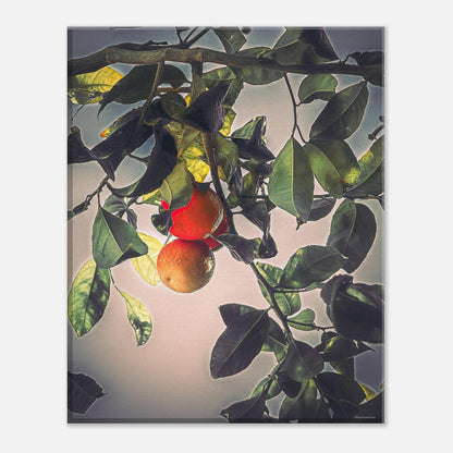 12b262f3-c40e-43b2-b0d4-5d2d95c191e4