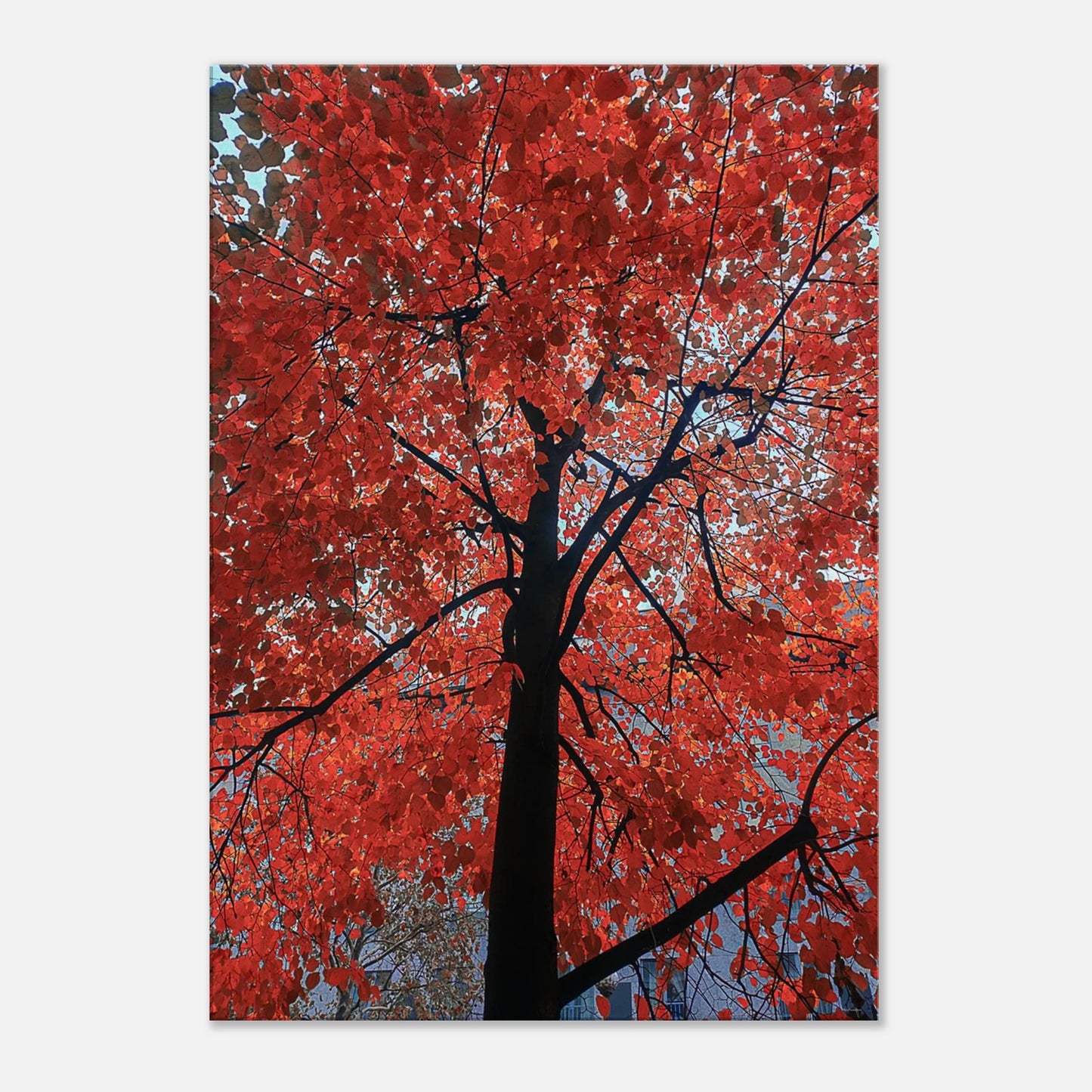 12b2de31-e5f3-417b-b32c-f01325dfddd3