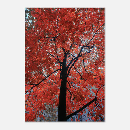 12b2de31-e5f3-417b-b32c-f01325dfddd3