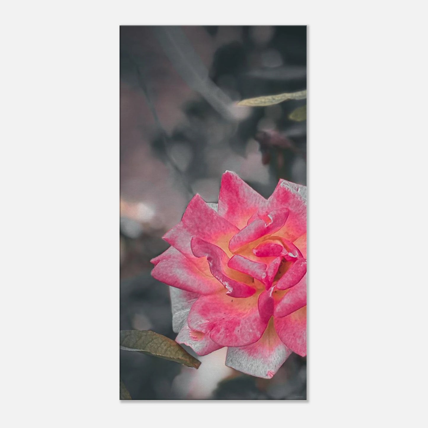 12b525a9-d217-4a2b-9e68-eae2b39f2634