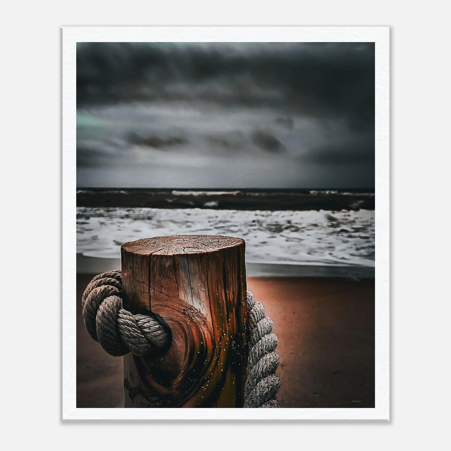 12b763b2-04d8-4b95-b42e-2cc1216bd30e