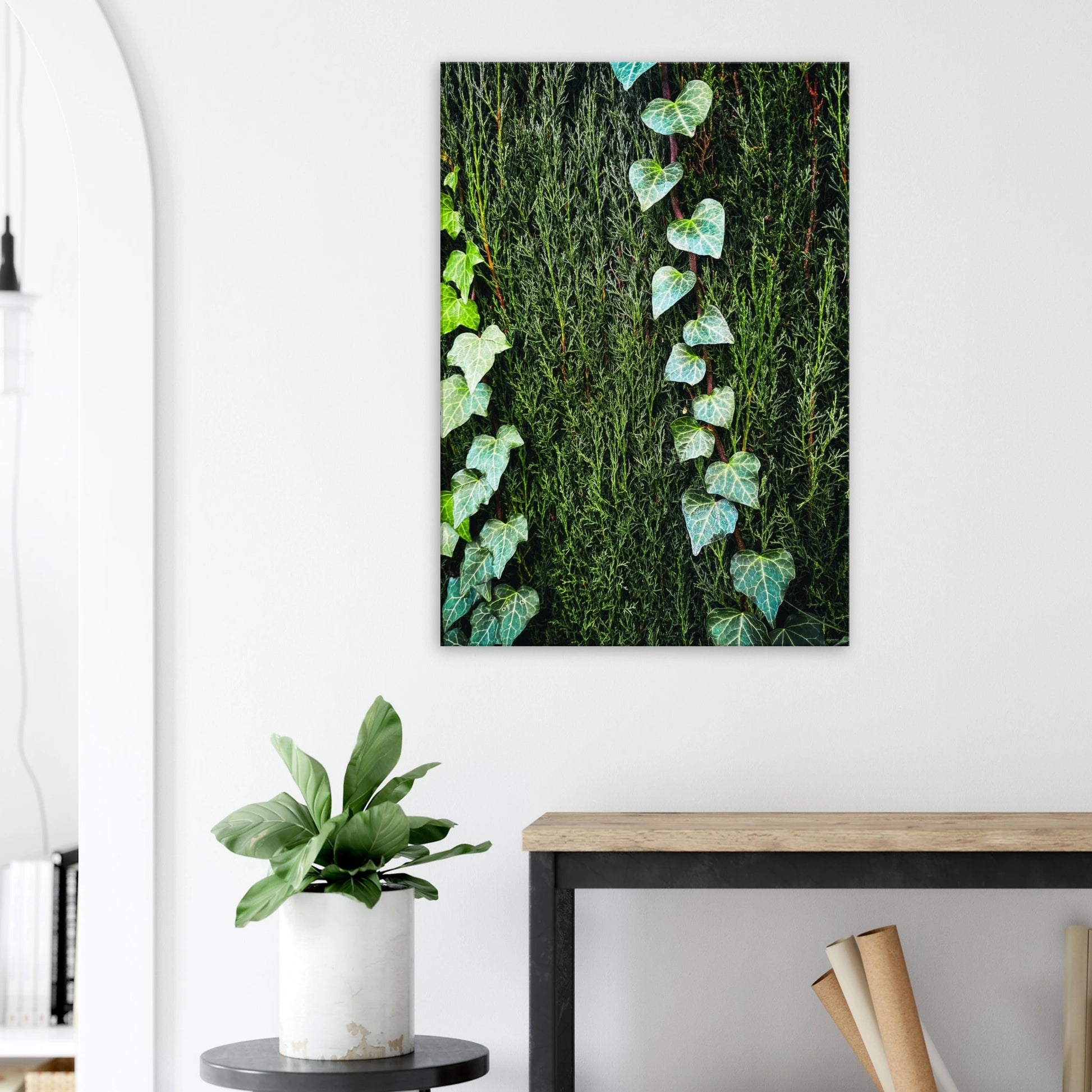 12bc1969-56c4-40ba-a329-21d1c32e21f8