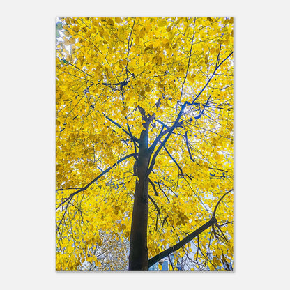 12c422ae-1138-4a70-a7be-2744d67e30ac