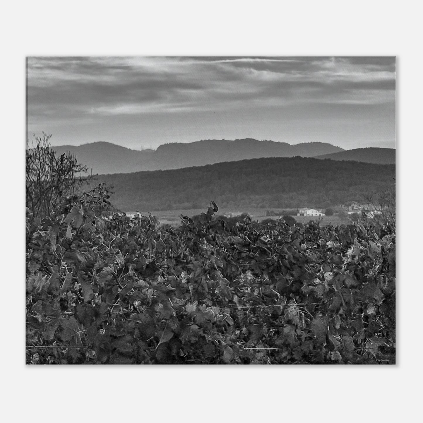 12dc49c8-ba1e-4730-afc4-93ed38bd6ddf