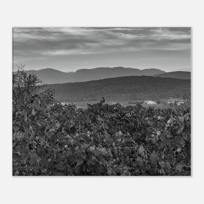 12dc49c8-ba1e-4730-afc4-93ed38bd6ddf