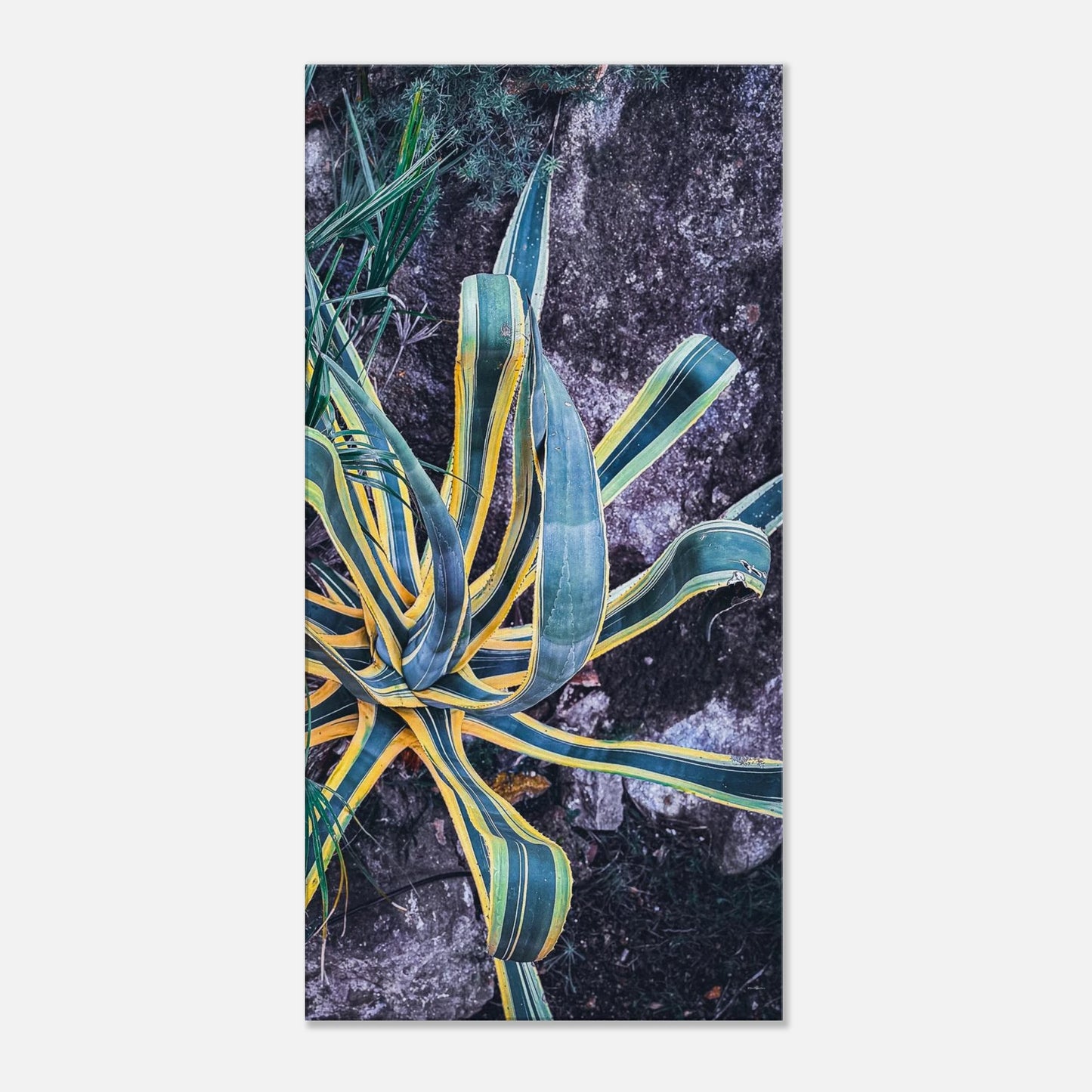 12f16f7f-7388-43be-b54f-0e76dbb58318