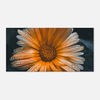 1332c4e8-db8f-46d1-93c3-2b51a13aa0c2