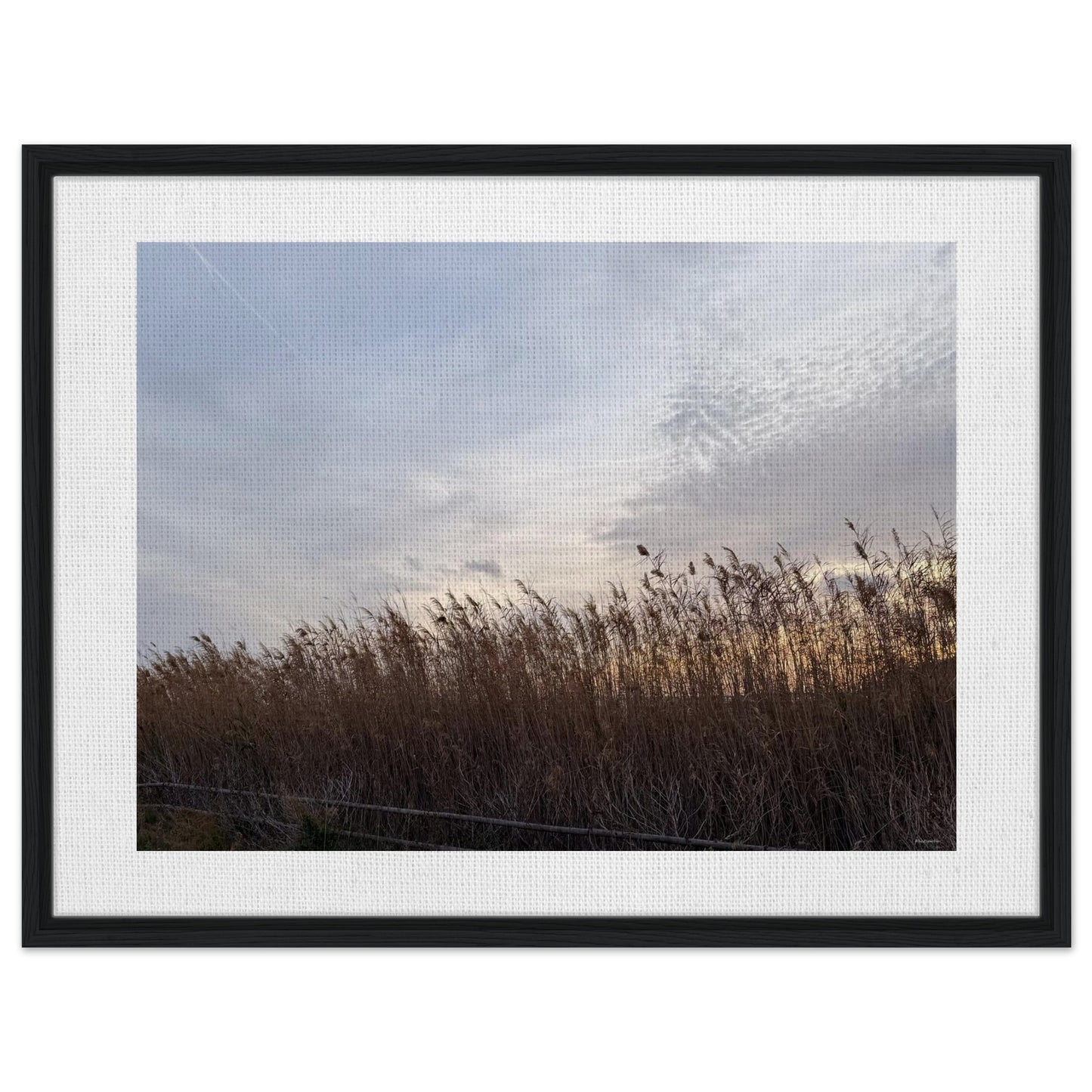 13508510-dd7a-4d33-9145-33807cef2e3d