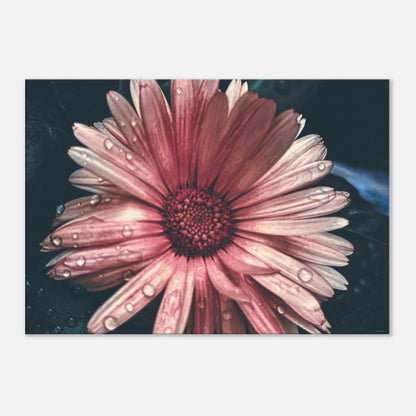 137ac397-c7ca-41e6-aa18-2ecd806a0b53