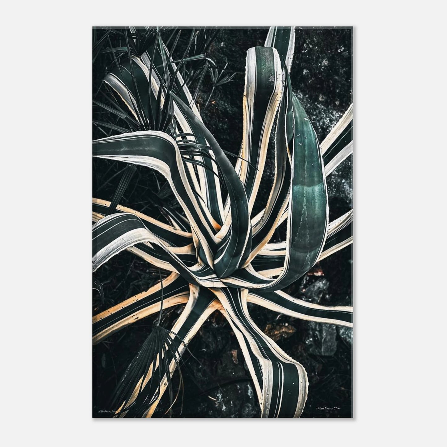 13ae36b8-ccdb-456c-87bc-52829c992223