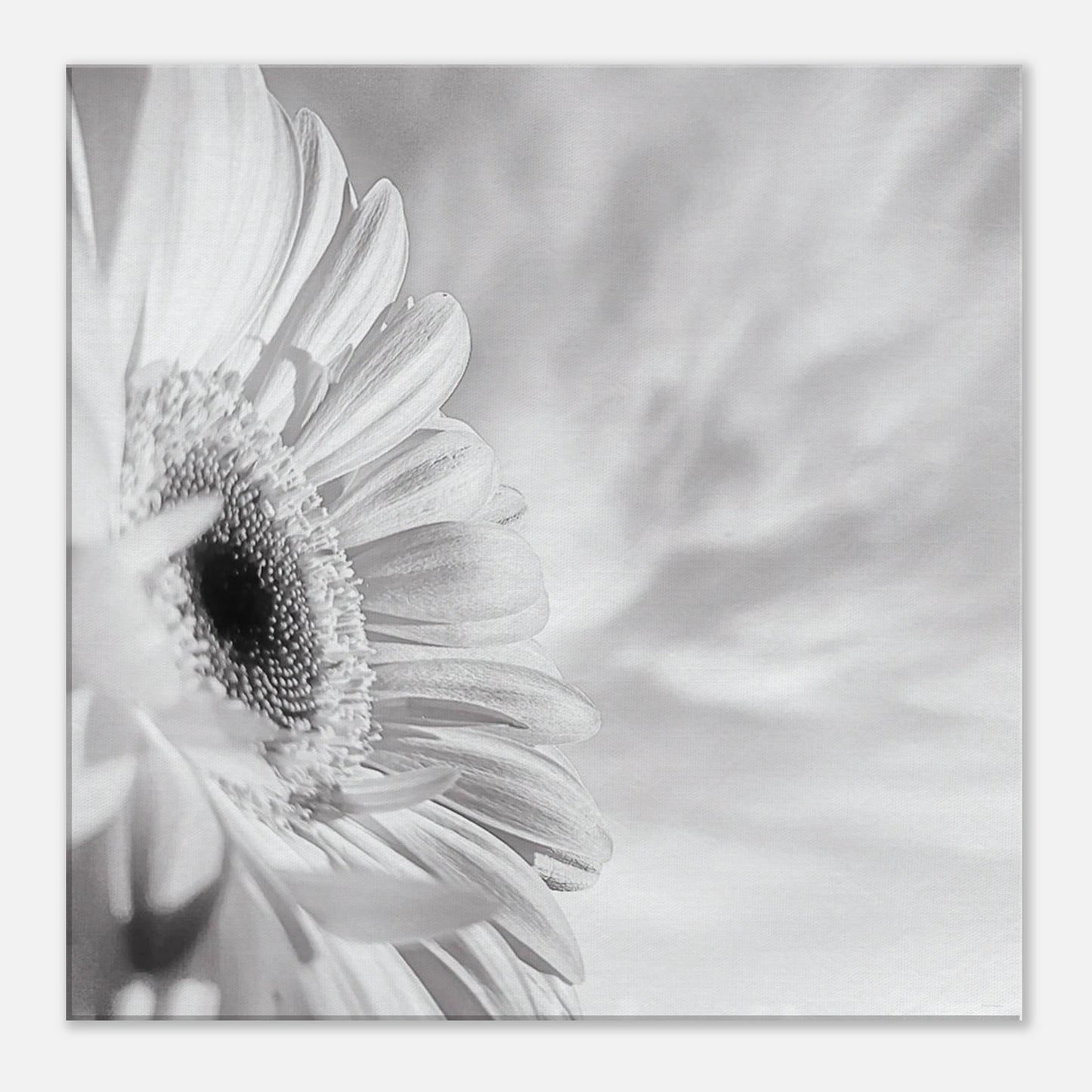 13c6e92f-f222-44db-9832-76e8213dd27b