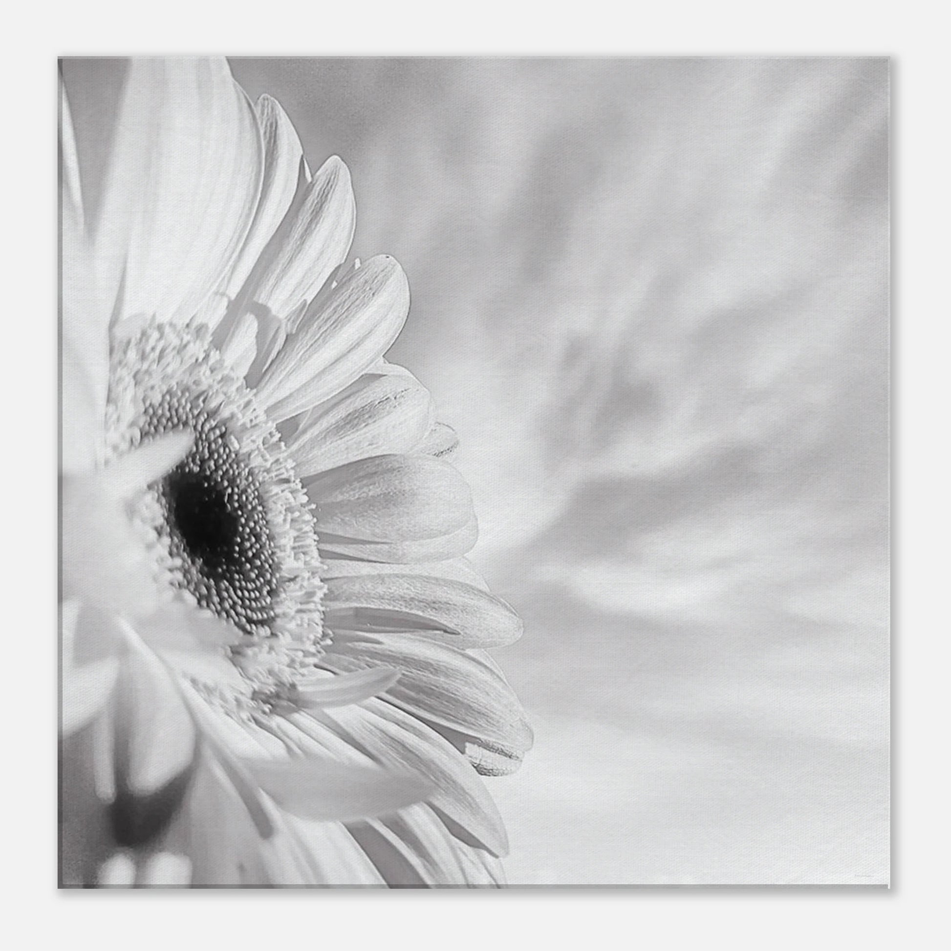 13c6e92f-f222-44db-9832-76e8213dd27b