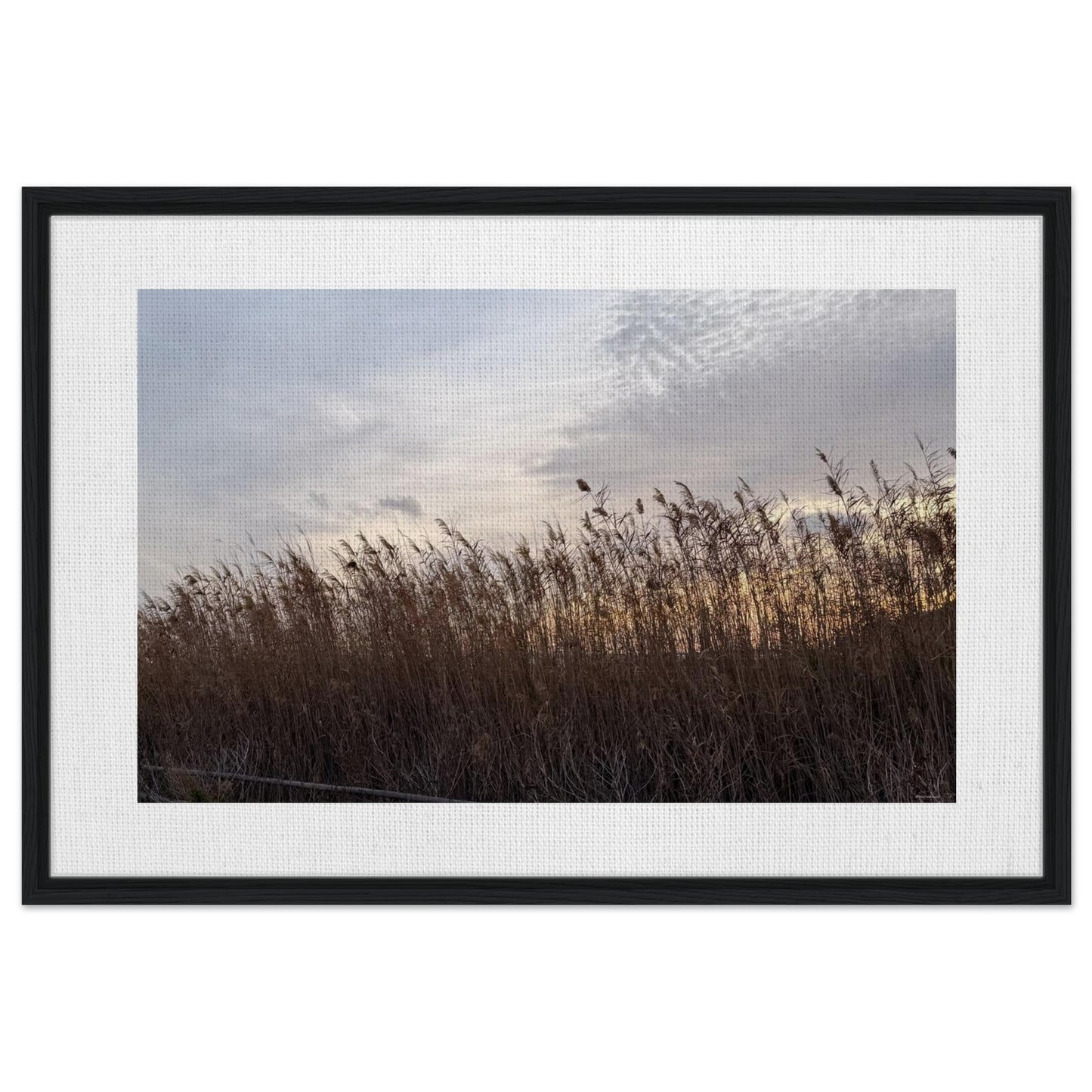 13f1cf4c-b6d7-4726-b3be-9622c216fe38