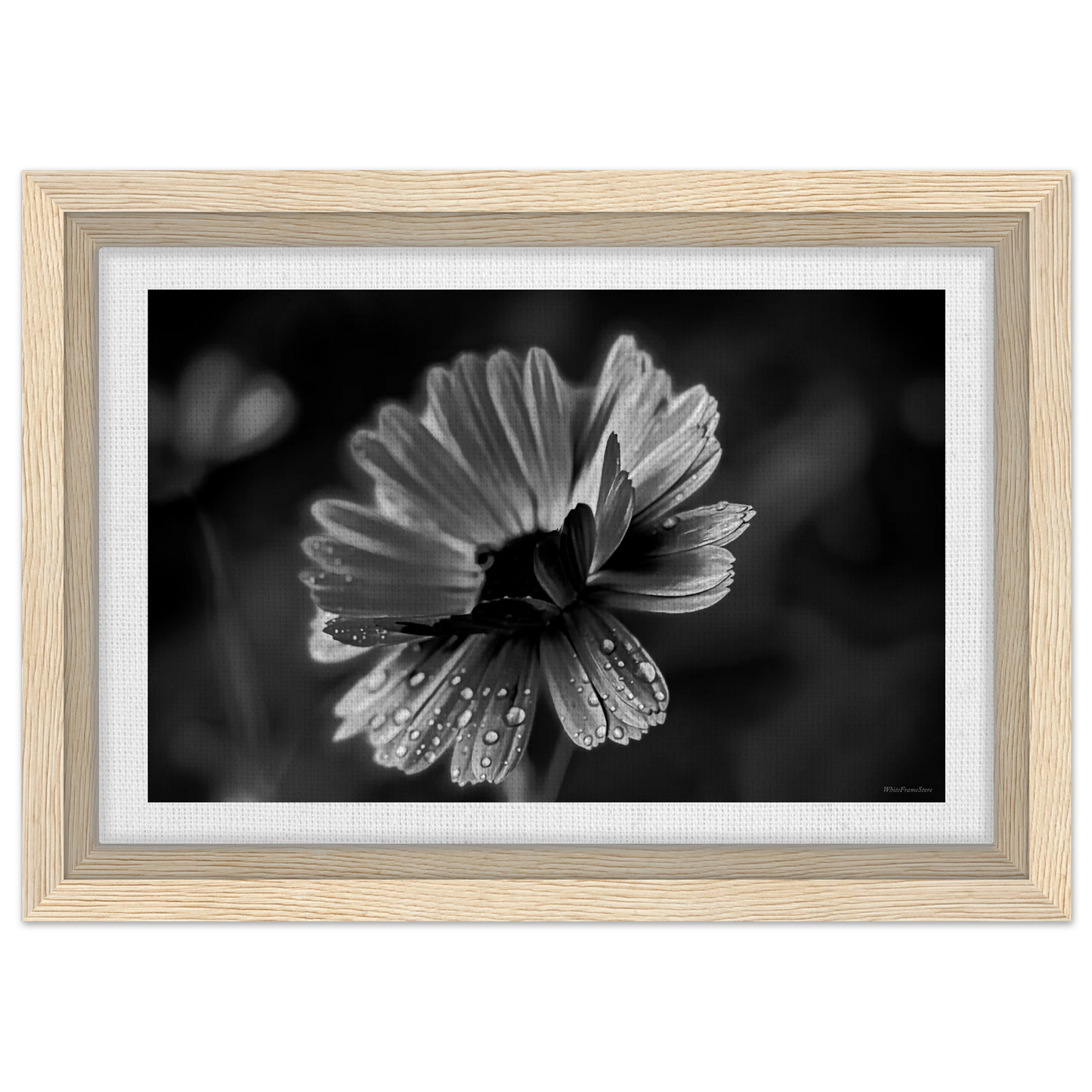 140c00ec-6b40-4f2b-be05-c27a33f2a851