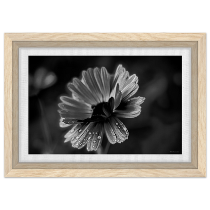 140c00ec-6b40-4f2b-be05-c27a33f2a851