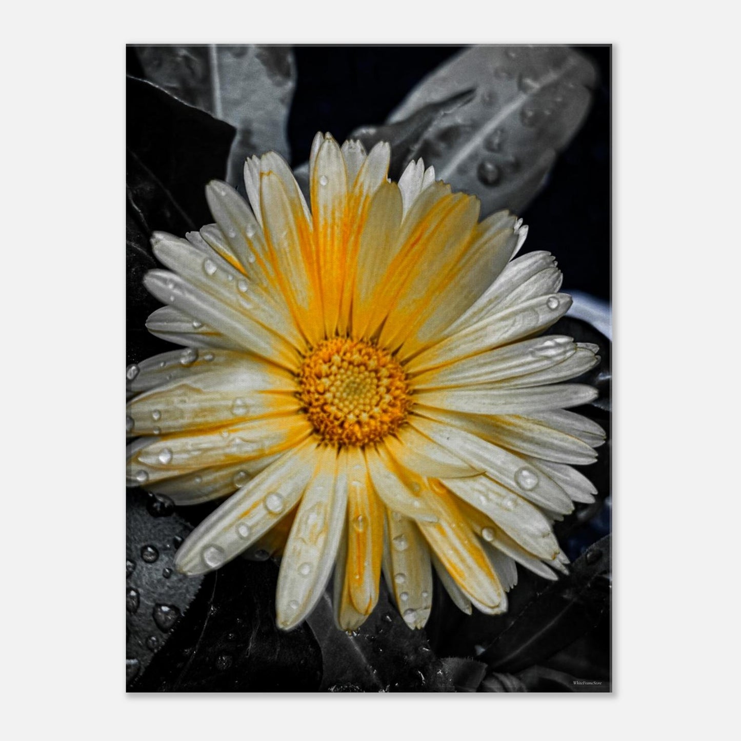 142ea7c3-26a2-42da-bef8-269a72285945