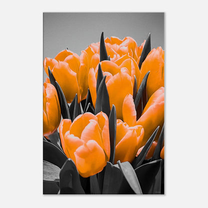 143e9765-8a27-4858-a761-a55e5ba7cc63