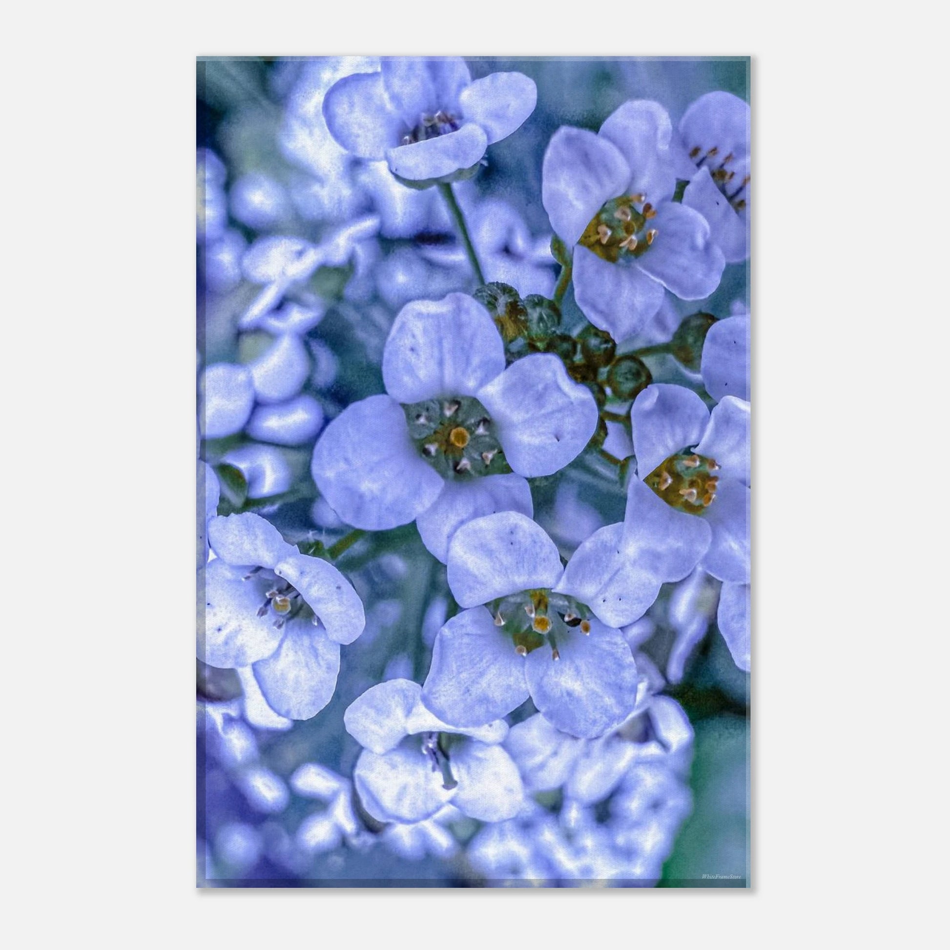 14846bd7-b2e7-4cbc-94fb-dfdd1a249520