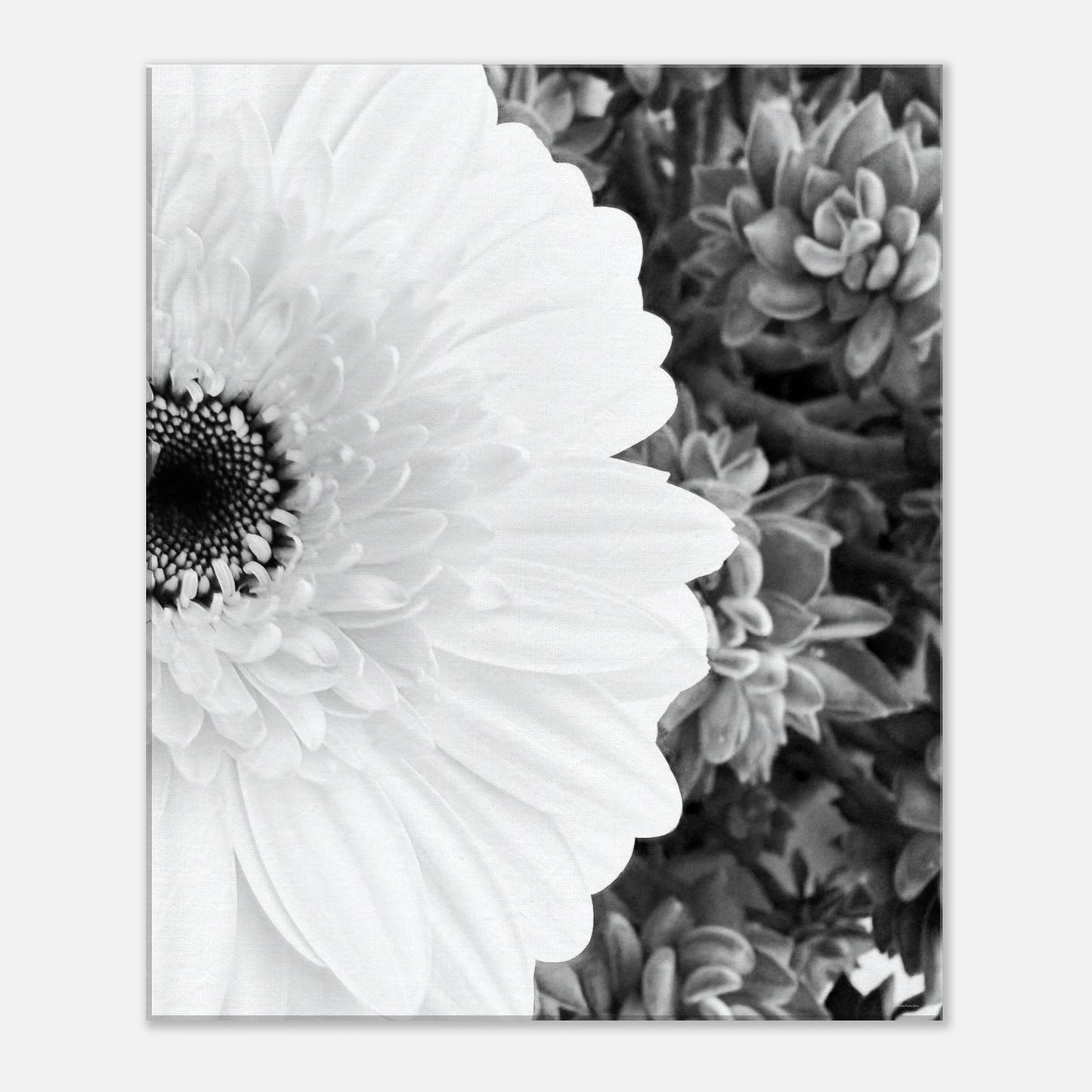 1498bff8-d4a8-4a5d-88e5-7e69e723c804