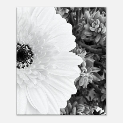 1498bff8-d4a8-4a5d-88e5-7e69e723c804