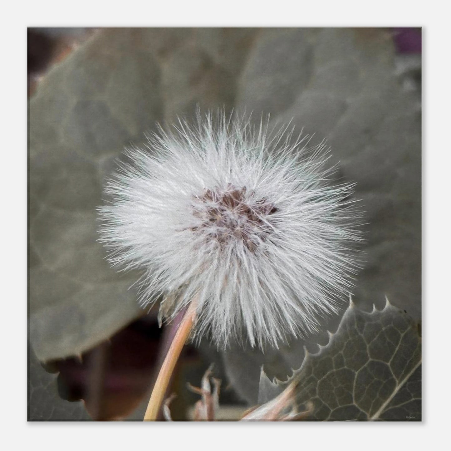 14bdeb29-ff3f-4cf2-a5d6-b6bf6c140885