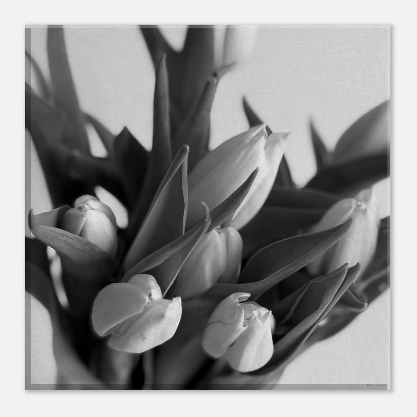 14c6120b-4126-4ee7-ba4b-1ee8037c8955