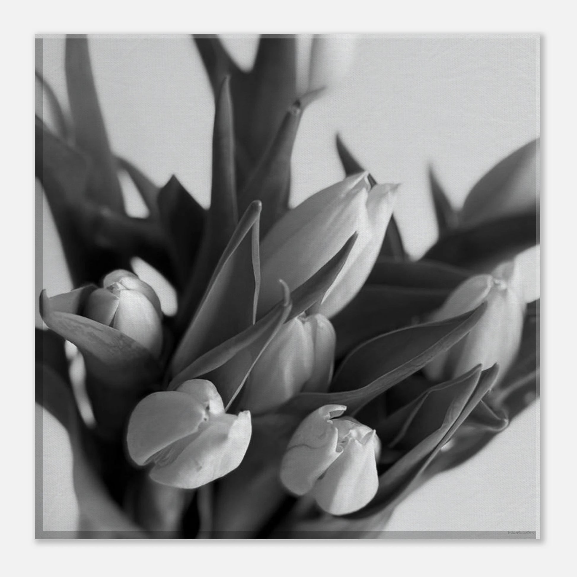 14c6120b-4126-4ee7-ba4b-1ee8037c8955